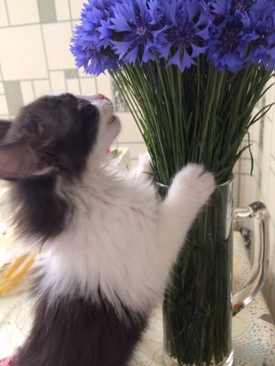 Малыш ищет дом, в котором его будут любить., фото 2