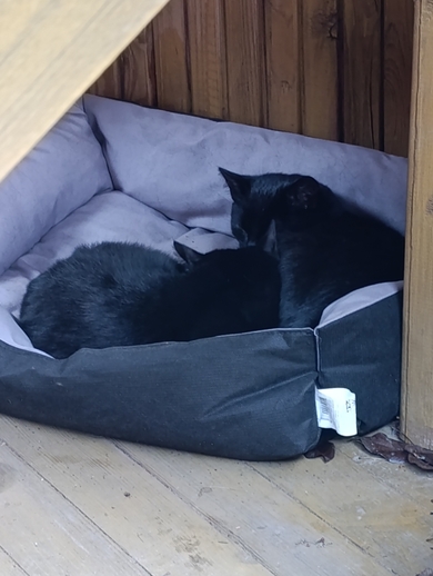 Потерялась