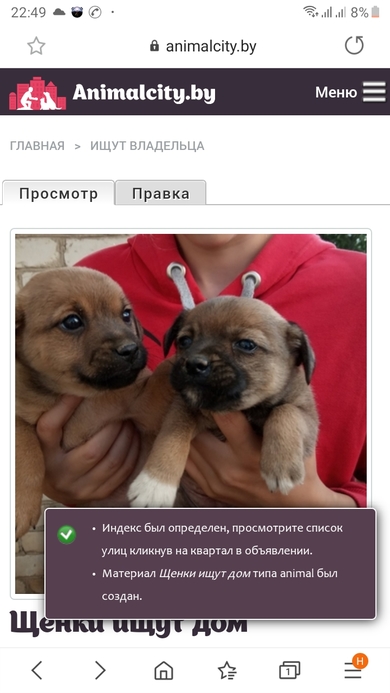 Щенки в дар, фото 3