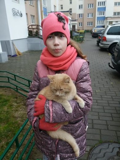 Срочно красивому котику нужен дом или передержка