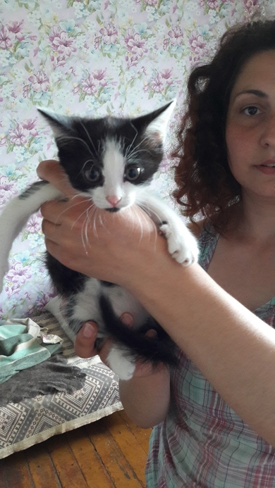 Очаровательные котята ищут дом!, фото 4